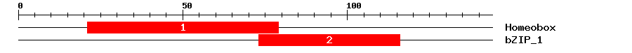 Signature Domain