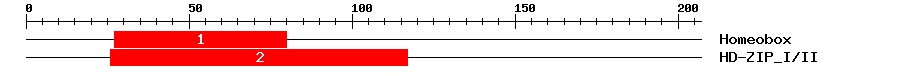 Signature Domain