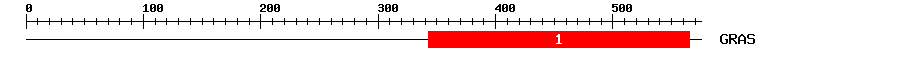 Signature Domain