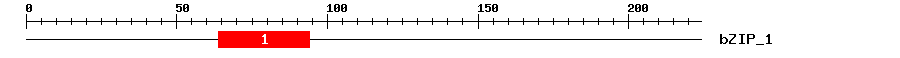 Signature Domain