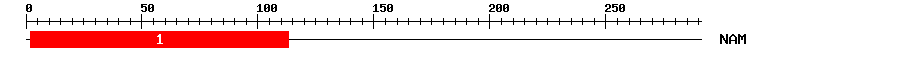 Signature Domain
