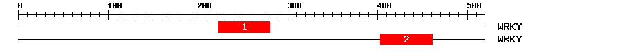 Signature Domain