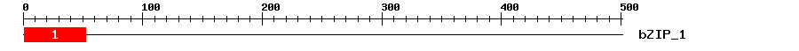 Signature Domain