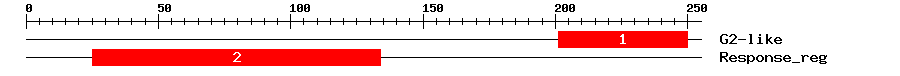 Signature Domain
