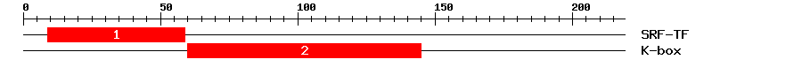 Signature Domain