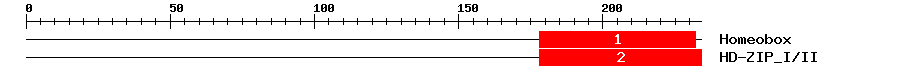 Signature Domain