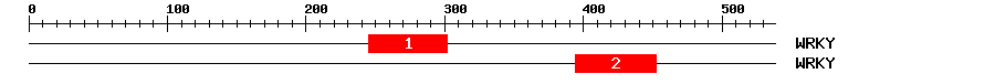 Signature Domain