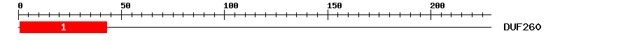 Signature Domain