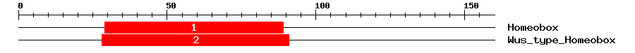 Signature Domain