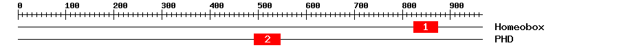Signature Domain