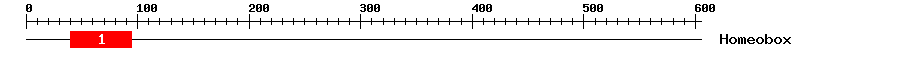 Signature Domain
