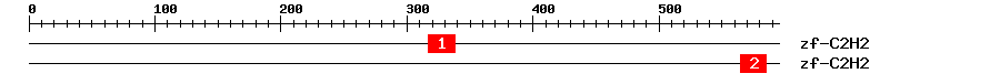Signature Domain