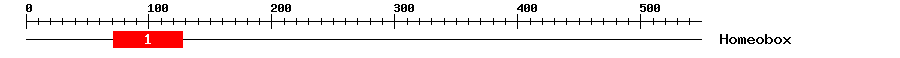 Signature Domain