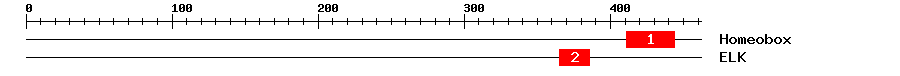 Signature Domain