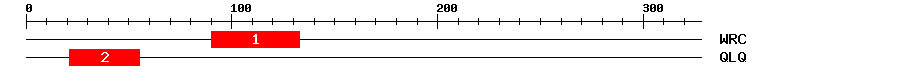 Signature Domain