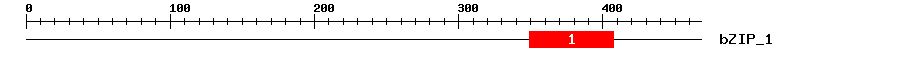 Signature Domain