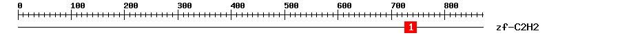 Signature Domain