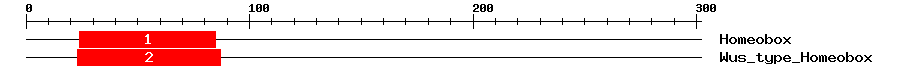 Signature Domain