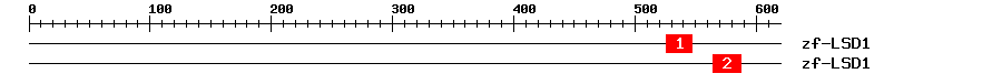 Signature Domain