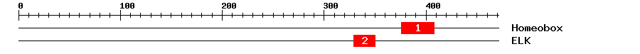 Signature Domain