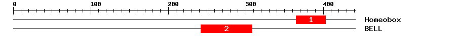 Signature Domain