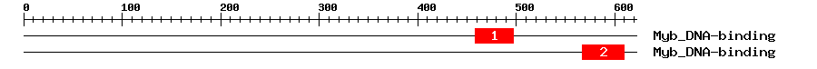 Signature Domain