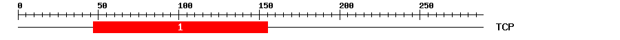 Signature Domain