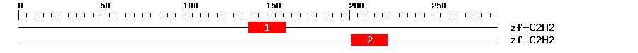 Signature Domain