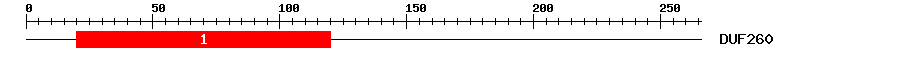 Signature Domain