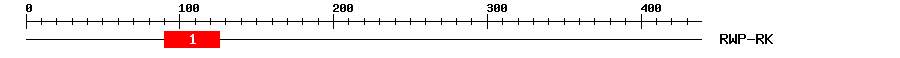 Signature Domain