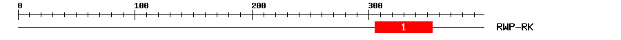 Signature Domain