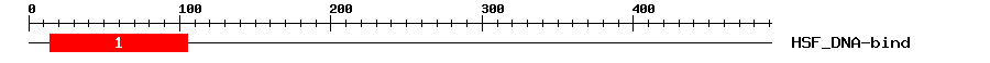 Signature Domain