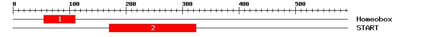 Signature Domain