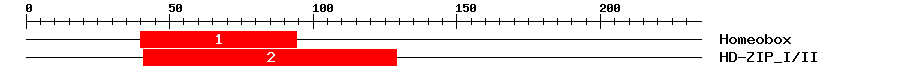 Signature Domain