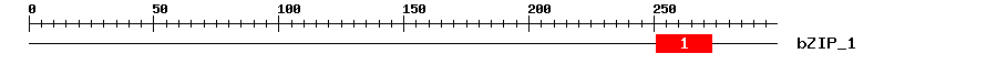 Signature Domain