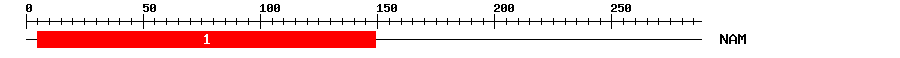 Signature Domain