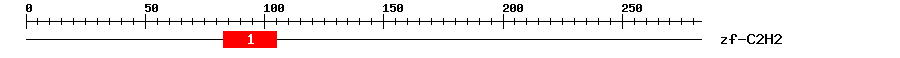 Signature Domain