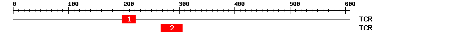 Signature Domain