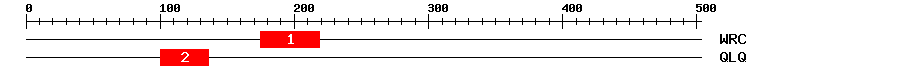 Signature Domain