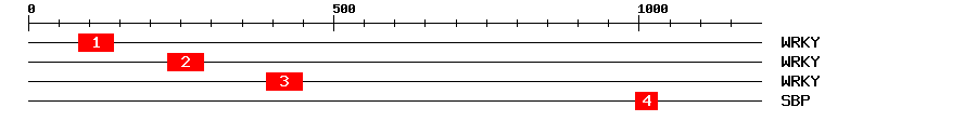 Signature Domain
