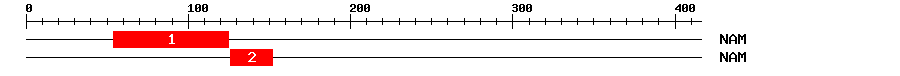 Signature Domain