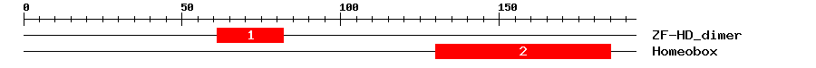Signature Domain
