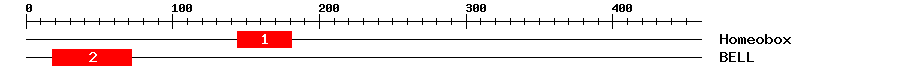 Signature Domain