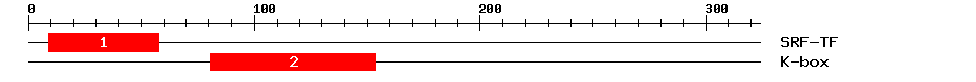 Signature Domain