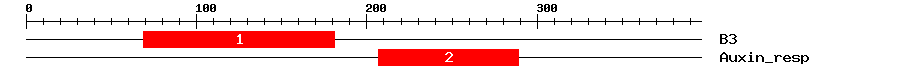 Signature Domain