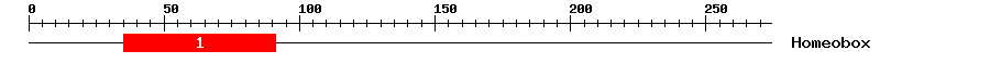 Signature Domain