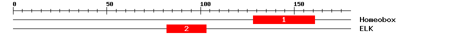 Signature Domain