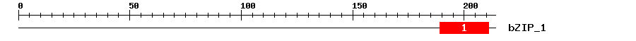 Signature Domain