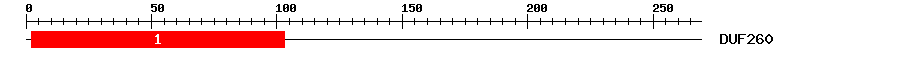 Signature Domain