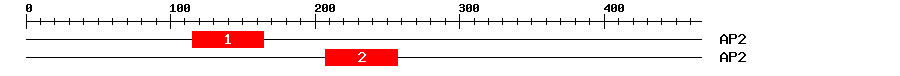 Signature Domain